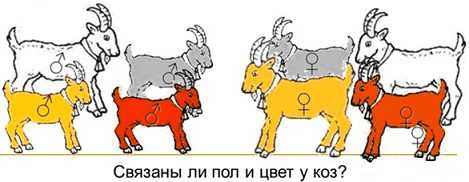 выделение признаков, Data Preparation, отбор предикторов