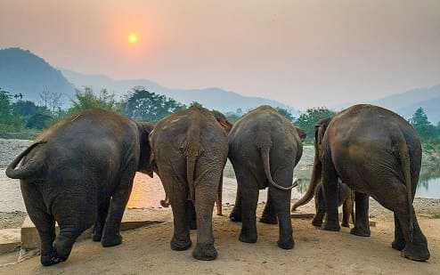 Большие данные, Big Data, Hadoop, Apache, администрирование, инфраструктура