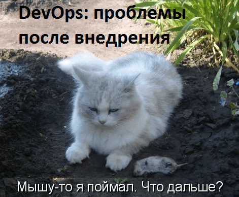и что дальше: проблемы после внедрения