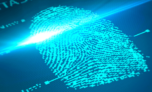 системы биометрии, большие данные, биометрия