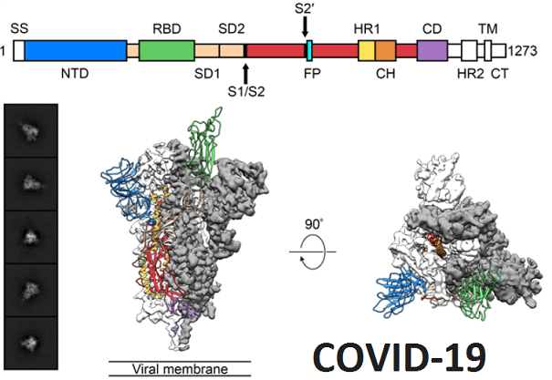 COVID-19, Data Science